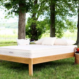 savvy-rest-bed