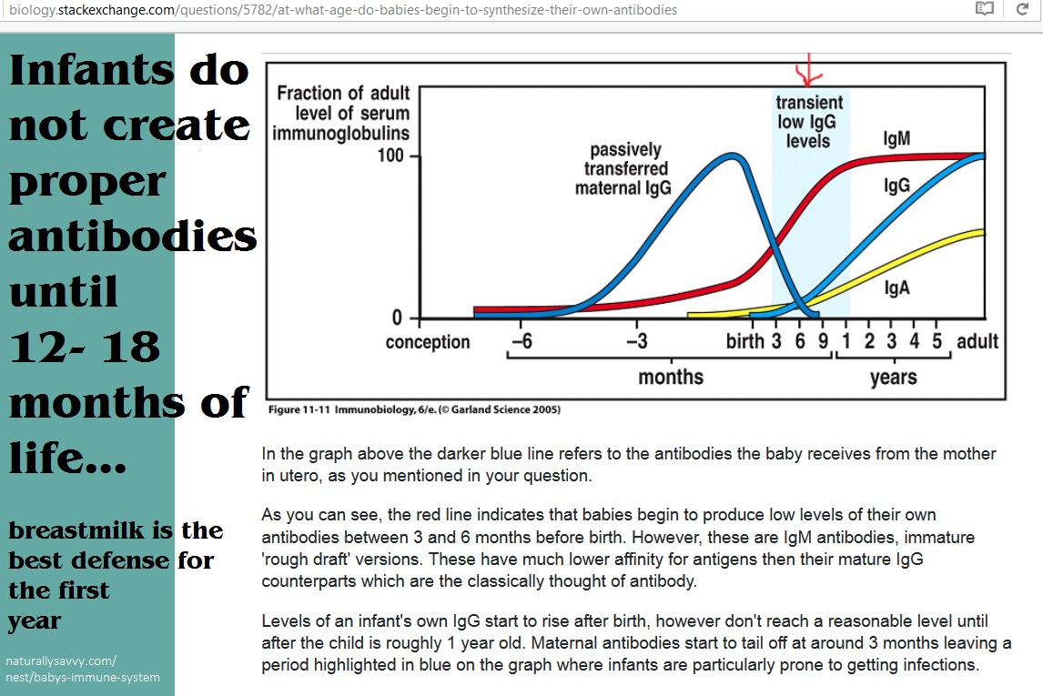 breastfeeding antibodies